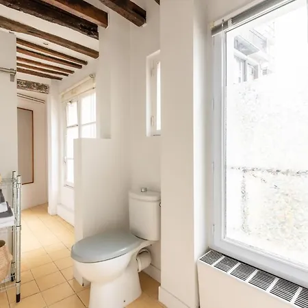 Saints Peres - Typical Flat In The Old - Ii * Paris